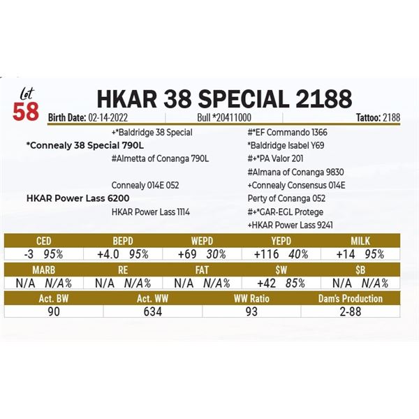 HKAR 38 Special 2188