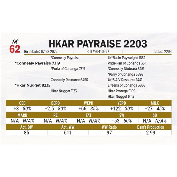 HKAR Payraise 2203