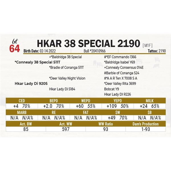 HKAR 38 Special 2190
