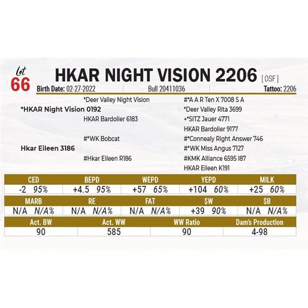 HKAR Night Vision 2206