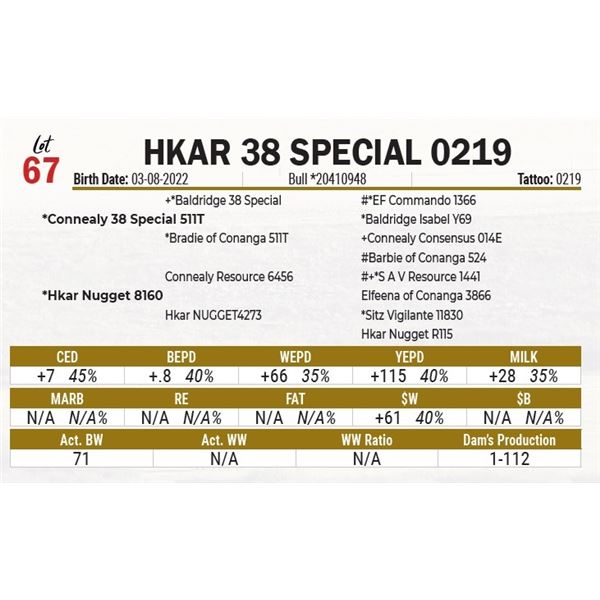 HKAR 38 Special 0219