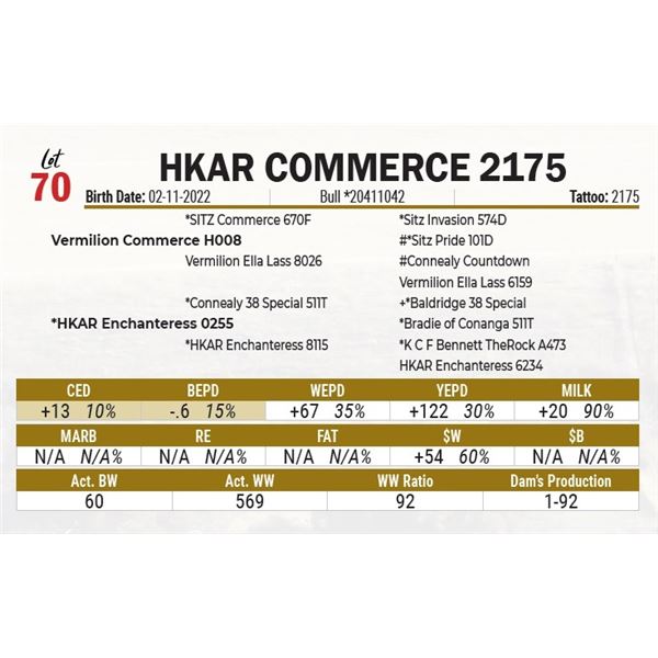 HKAR Commerce 2175