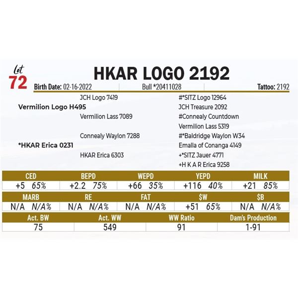 HKAR Logo 2192