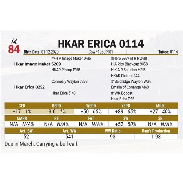 Hkar Erica 0114