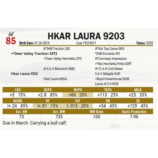 Hkar Laura 9203