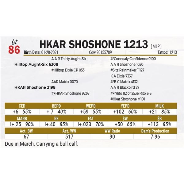 HKAR Shoshone 1213