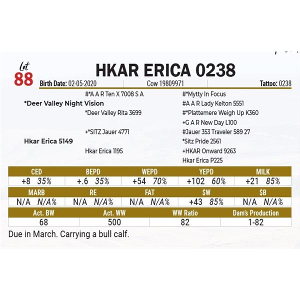 Hkar Erica 0238