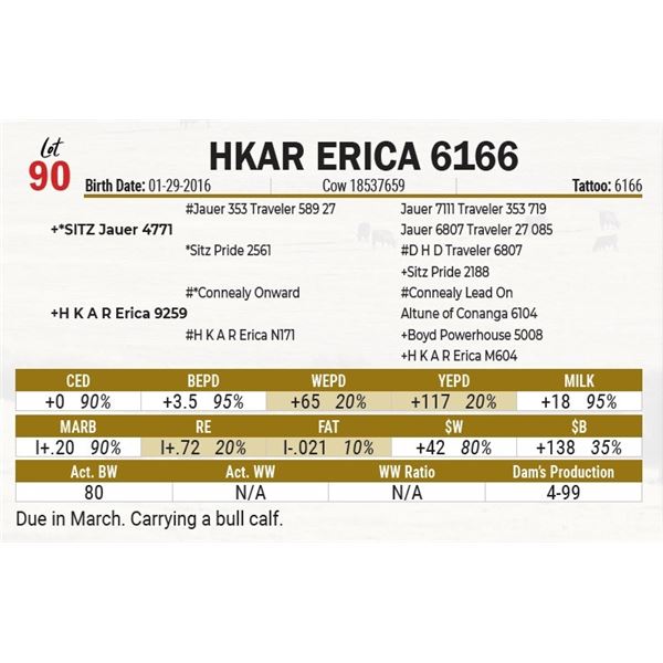 HKAR Erica 6166