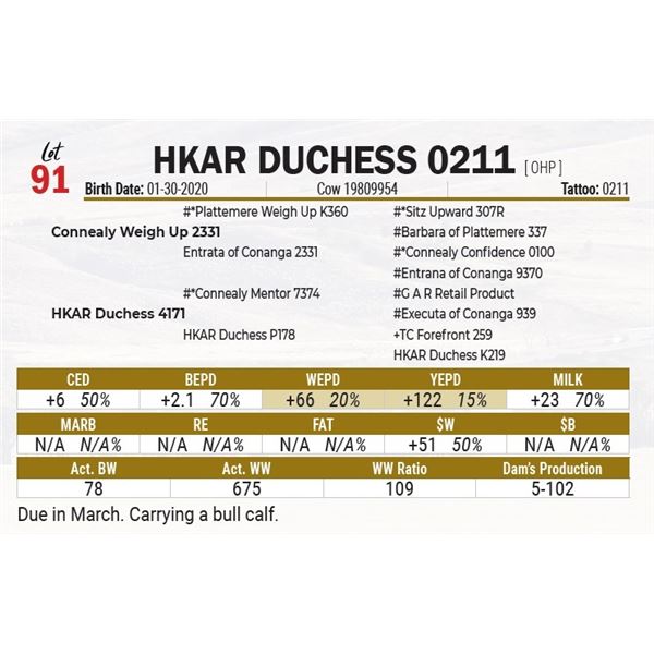 HKAR Duchess 0211