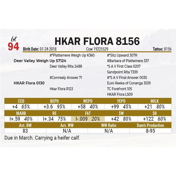 HKAR Flora 8156