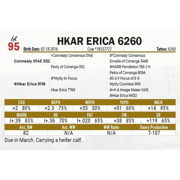 Hkar Erica 6260