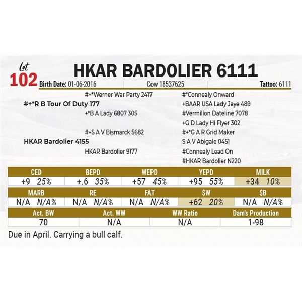 HKAR Bardolier 6111