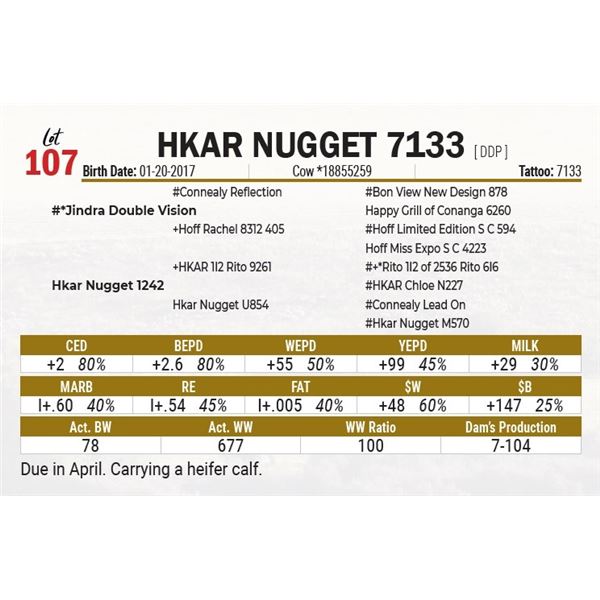 Hkar Nugget 7133