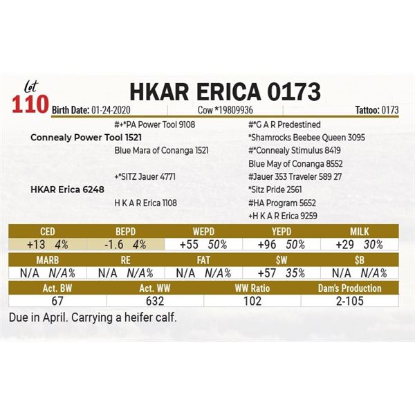 HKAR Erica 0173