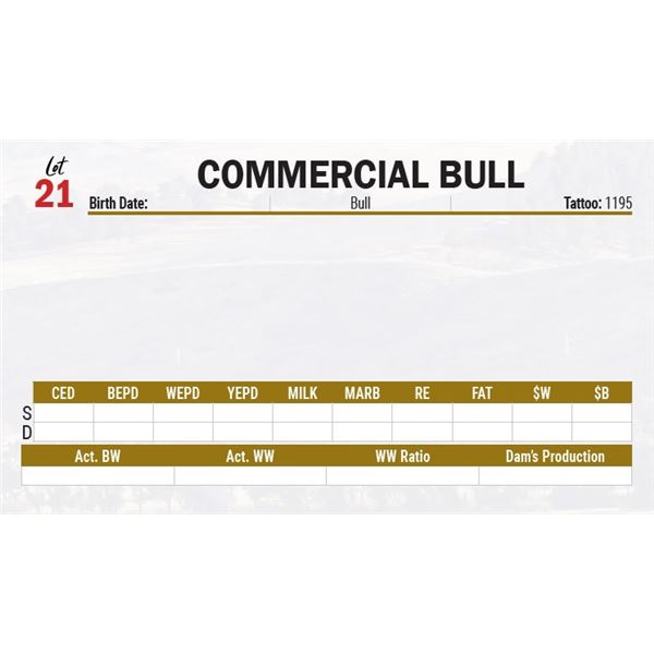COMMERCIAL BULL
