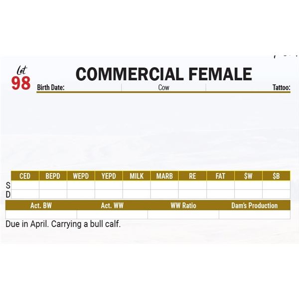 COMMERCIAL FEMALE