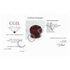 Image 2 : APPRAISED $4370 Genuine Blood DEEP Red Natural Ruby 4.37ct  (JEW-407)