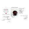 Image 2 : APPRAISED $2520 Genuine Blood DEEP Red Natural Ruby 1.26ct (JEW-395)