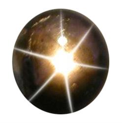 3.43ct Excellent 6 Ray Black Star Sapphire Opague (GEM-11636)