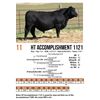 Image 1 : HT Accomplishment 1121