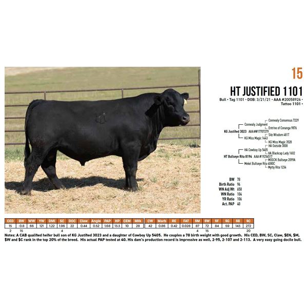 HT Justified 1101