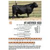 Image 1 : HT Justified 1033