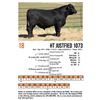 Image 1 : HT Justfied 1073