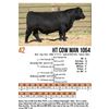 Image 1 : HT Cow Man 1064