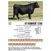 Image 1 : HT Rawhide 1249