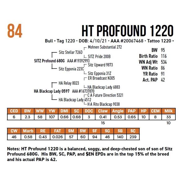 HT Profound 1220