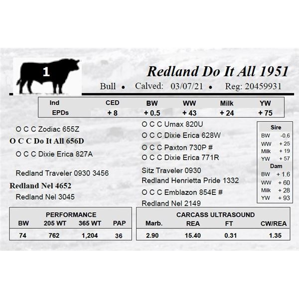 Redland Do It All 1951