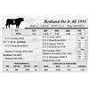 Image 1 : Redland Do It All 1951