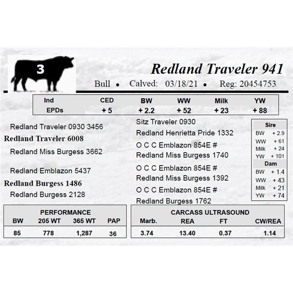 Redland Traveler 941