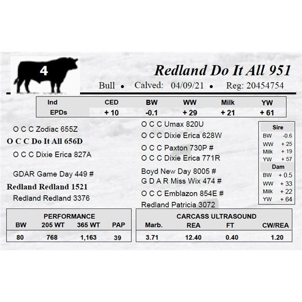 Redland Do It All 951