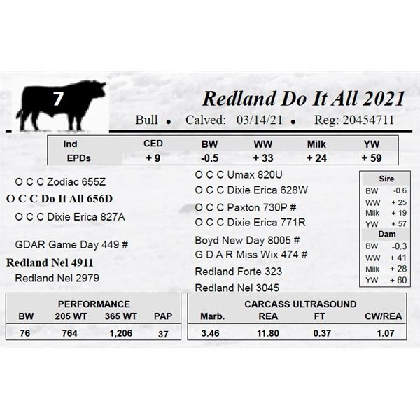 Redland Do It All 2021