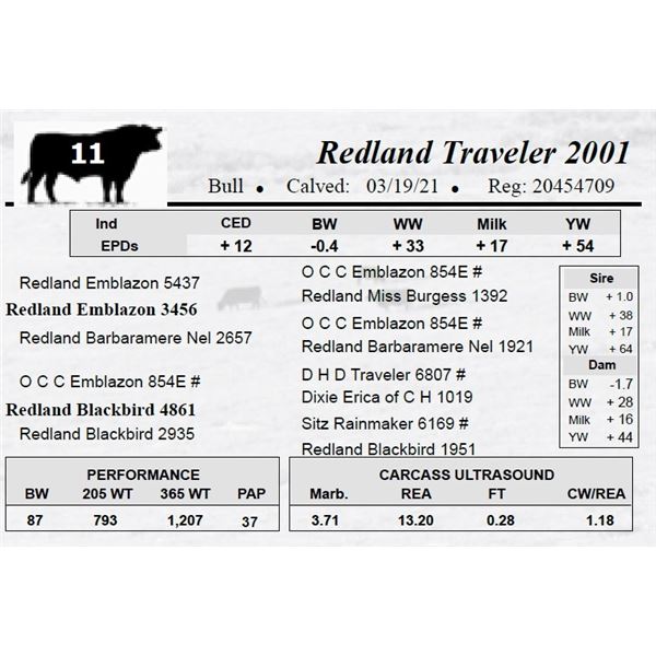 Redland Traveler 2001