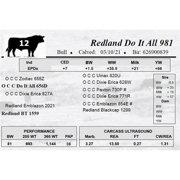 Redland Do It All 981