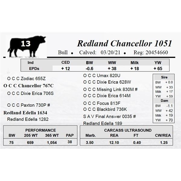 Redland Chancellor 1051