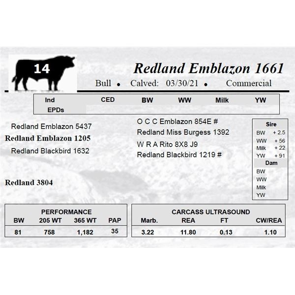 Redland Emblazon 1661