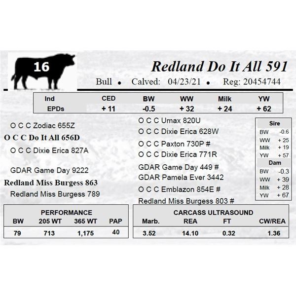 Redland Do It All 591