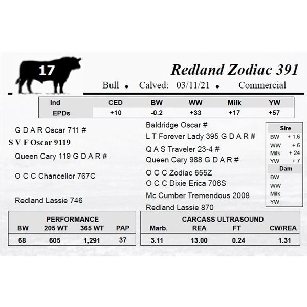 Redland Zodiac 391