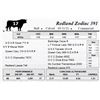 Image 1 : Redland Zodiac 391
