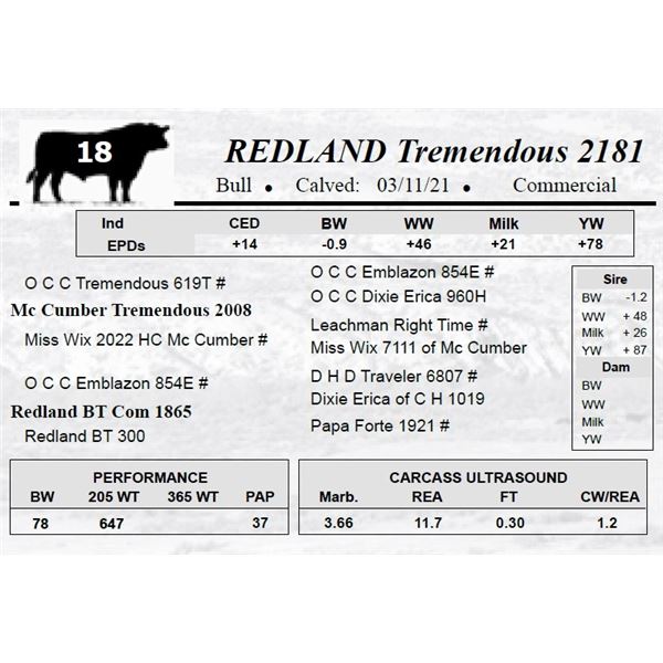 REDLAND Tremendous 2181