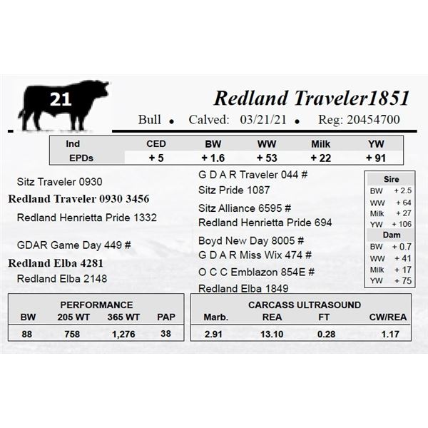 Redland Traveler1851