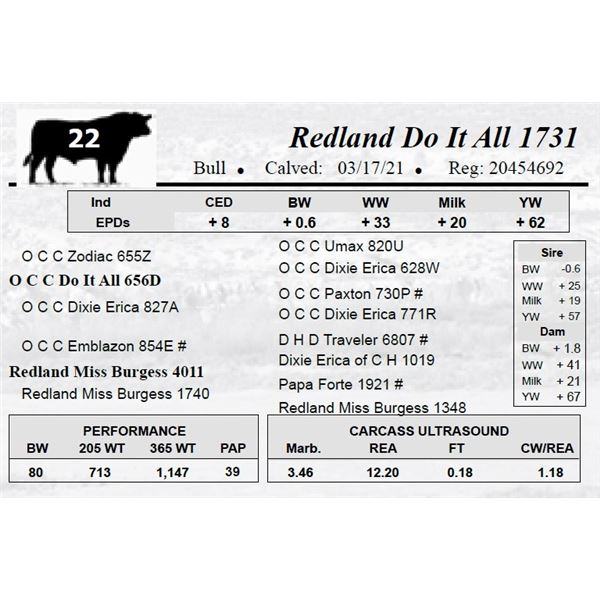 Redland Do It All 1731