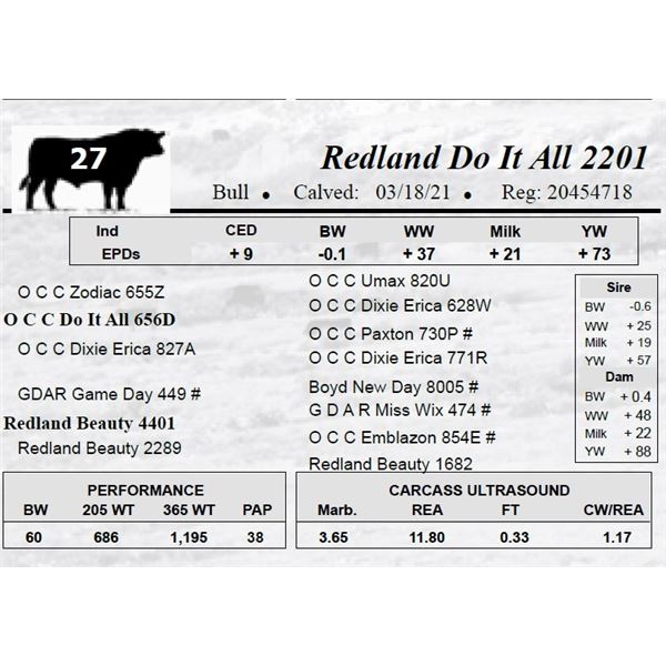 Redland Do It All 2201