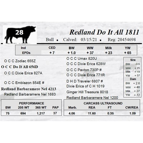 Redland Do It All 1811