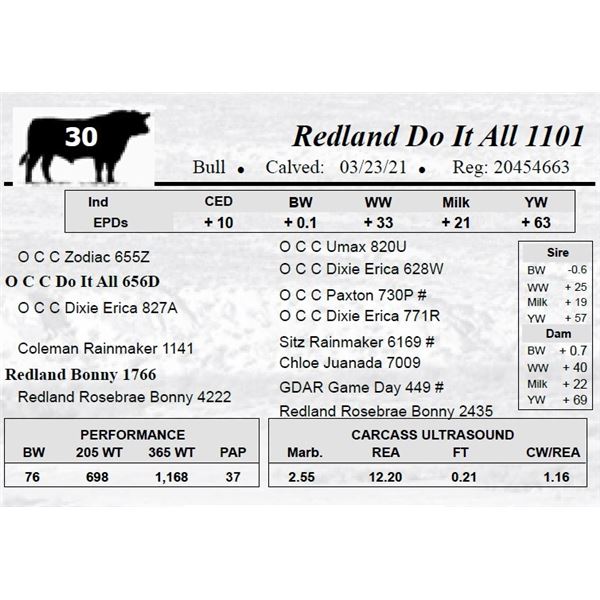 Redland Do It All 1101
