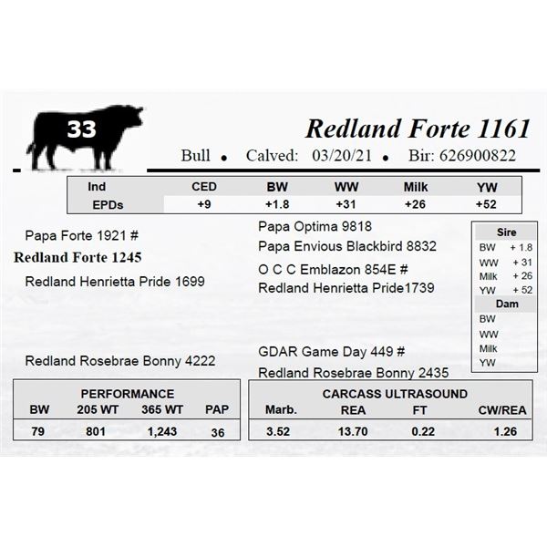 Redland Forte 1161