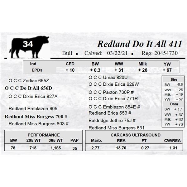 Redland Do It All 411